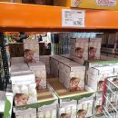 (주)젠틀펫코리아 | 코스트코 화장솜 추천｜심플리젠틀 유기농 코튼패드 사용기