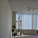 CU전주혁신중흥점 | 전주 공간대여 신상 배롱스튜디오 브라이덜샤워 패키지 이용 후기