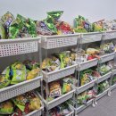 앨리스 플스방 이미지