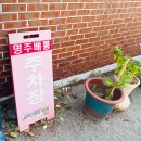 배롱집 | 강릉카페추천 레트로감성 명주동카페 명주배롱
