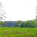 영원목장 이미지