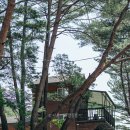 황토와 통나무 캠핑장 | [319번째 캠핑후기] 강원도 캠핑장 법흥계곡 황토와통나무. 여름휴가지 추천 캠핑 &amp; 펜션이 있는 곳에서