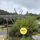 유기농라이프 | 충주의 맑은 자연 속에서 몸과 마음을 치유할 특별한 웰니스 in 충북 충주 깊은산속 원데이 투어 프로그램