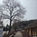청남대관리사업소 | 청남대 당일치기 여행, 2시간 관람코스로 즐긴 봄 산책