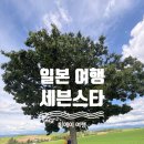세븐스타 | 비에이여행 세븐스타나무 본 후기