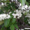 무릉1리마을회관 이미지