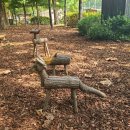 난곡동-7 이미지