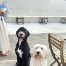 네모스테이 이미지