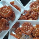 모티브 PT 이미지