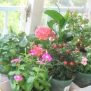 하트커피 이미지