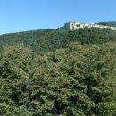 여명공인중개사사무소 이미지