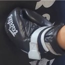 리버샷 복싱 이미지