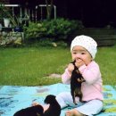 우리집강아지 이미지