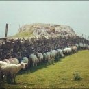 데일리목장 이미지