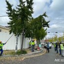 제2공단3로 이미지