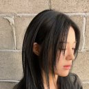 슬릭시
