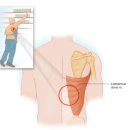 JL fitness 이미지