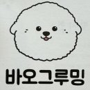 바오그루밍 이미지