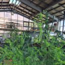 한정식백운 | 백운호수 한정식 맛집 자연담은 밥상 백운재 후기