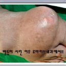 류마제일내과의원 이미지