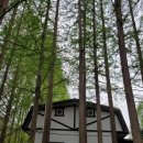 (주)힐링애드 이미지