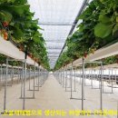 소매농장 이미지