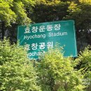 효창약국 Daum카페