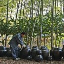 기장군청 이미지