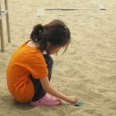 세검정초등학교 Daum카페