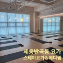 요가(초급) | [세종 반곡동 / 스테이요가&amp;메디윌] 초급요가, 토요일 요가 추천, 내돈내산