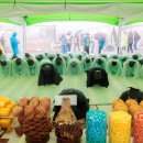 황매산 철쭉제 이미지