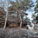 솔숲펜션 이미지