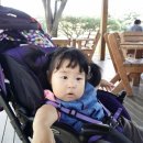 서일농장2 이미지