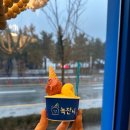 속초디저트 추천 속초 젤라또 맛집 녹쟌니 내돈내산 후기