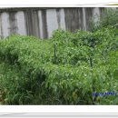 산외중학교 이미지