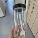 (주)삼립식품 | [낙성대 pt] 낙성대 헬스장 오짐pt와 함께하는 근력운동 19회차(헬린이 피티도전)