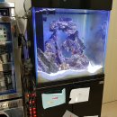 풍무숙명유치원 이미지