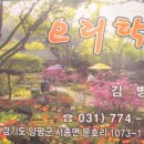 양수리 오리학교 이미지