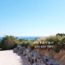 벨라공인중개사사무소 이미지