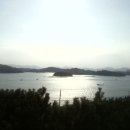 세구지 이미지