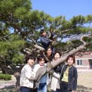 고목초등학교 이미지