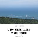 [부산3박4일여행] 부산이 내려다 보이는 황령산 전망대 (여자혼자 찐 등산 후기) + 비건디저트카페 오굳띵