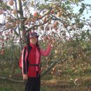 병렬농장 이미지