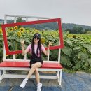 웰빙스포츠댄스 이미지