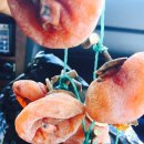 갈릴리 대게수산 이미지