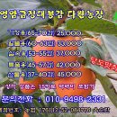 2015영암금정 대봉감 판매가격 전단지 만들기 이미지