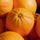 황금헬스 이미지