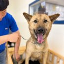 금성유치원 이미지