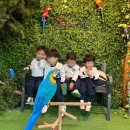 퐁피두창의스쿨어린이집 이미지