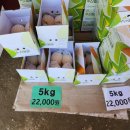 유신농장 이미지